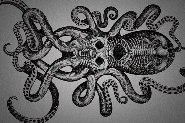 Kraken 19at