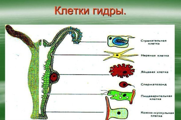 Кракен ссылка kra