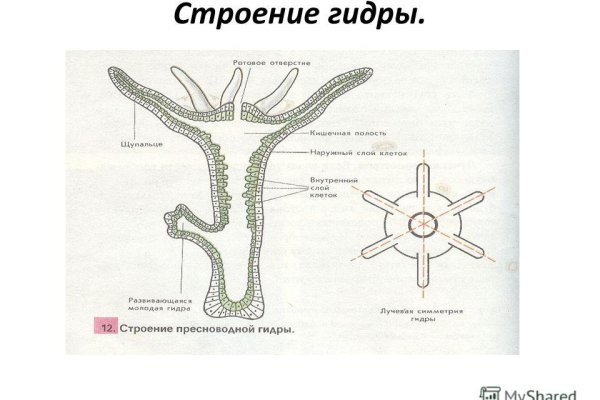 Кракен даркнет store