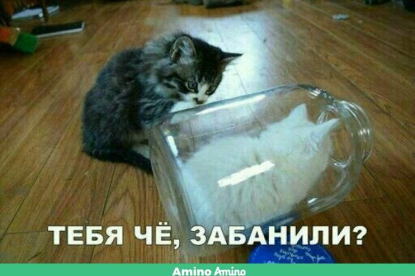 Короткая ссылка на кракен