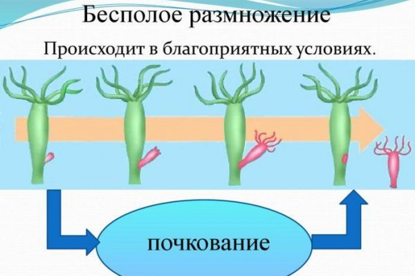 Кракен это сайт что продают