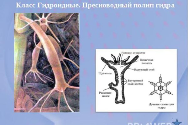Магазины наркотиков