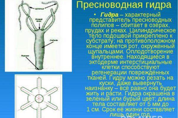 Зайти в кракен