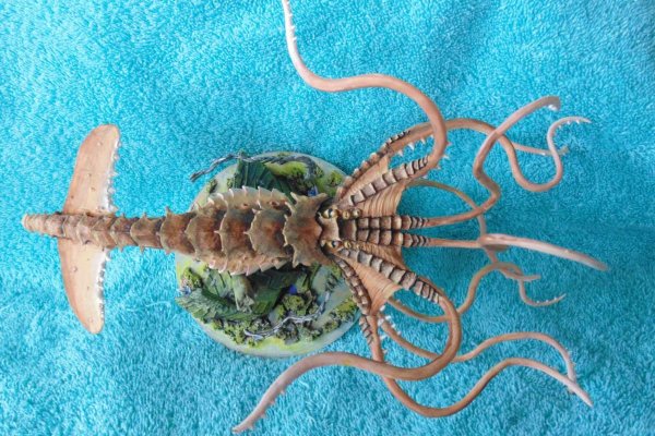 Kraken 22 аt