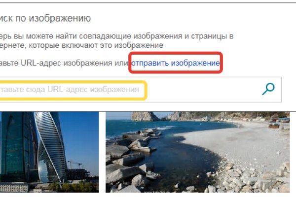 Гидра и кракен