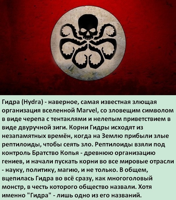 Где найти рабочую ссылку на кракен