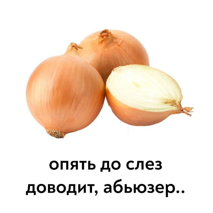 Kraken darknet ссылка тор