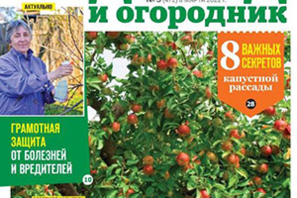 Дарк маркетплейс кракен