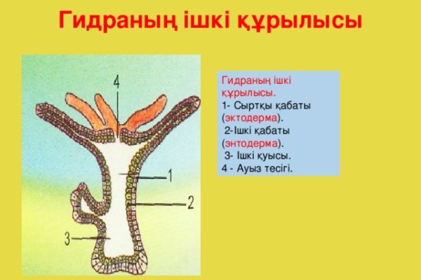 Kra35.at